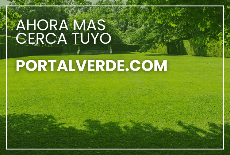 Portal Verde