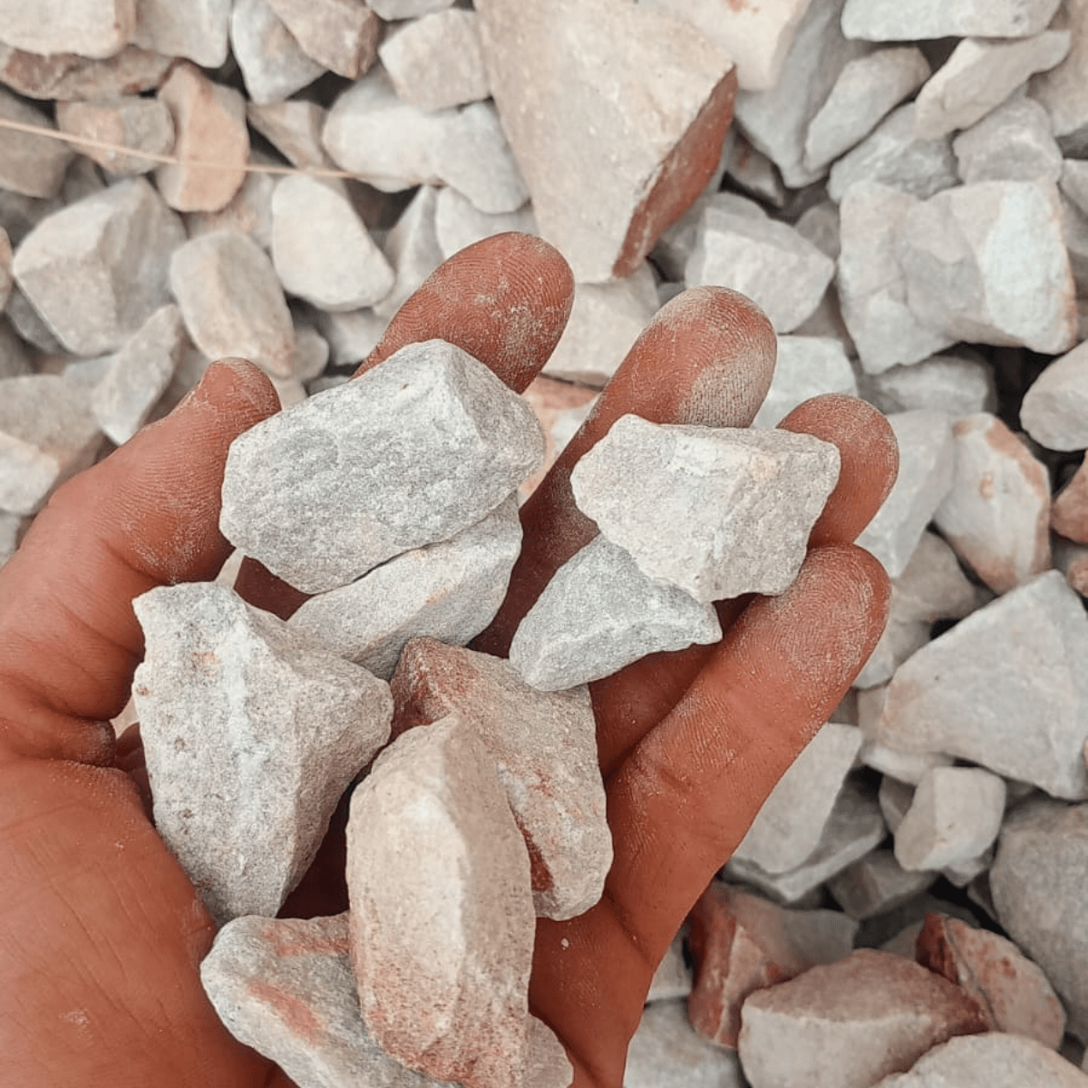 Piedra Arenisca N° 4